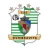 ACS Dumbravita Logo