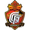 Gyeongnam FC Logo