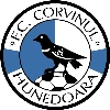 Corvinul Hunedoara Logo