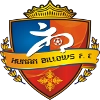 Hunan Billows Logo